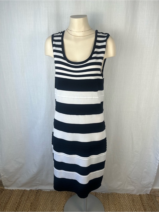 elena wang Dresses & Skirts - Sleeveless Black and White Striped Maxi Dress